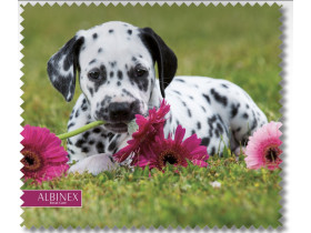 Серветка для очищення лінз  Albinex 50.027-92