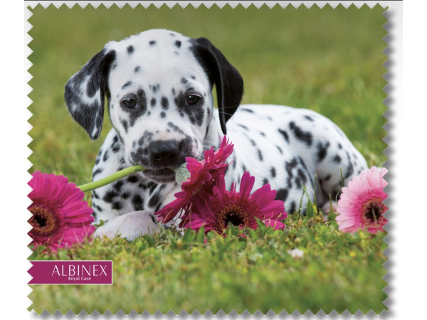 Серветка для очищення лінз  Albinex 50.027-92